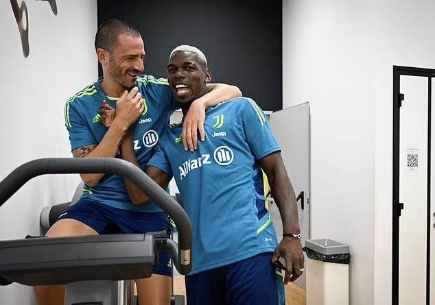 九游体育安卓版、九游体育苹果版、九游体育下载链接、九游体育安装包、九游体育官方下载、体育app推荐-囧叔不因二“博”糟心：博格巴命不好，博努奇由他闹